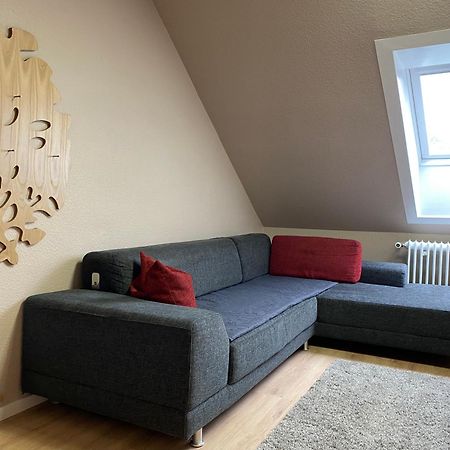 S-Villa Apartments Im Schwarzwald Schiltach Kültér fotó