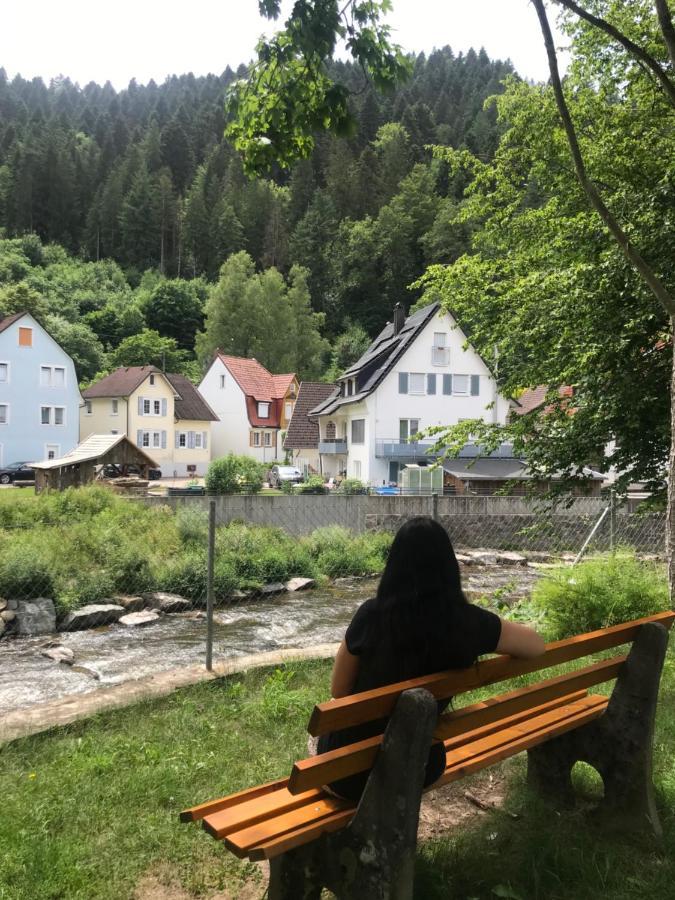 S-Villa Apartments Im Schwarzwald Schiltach Kültér fotó