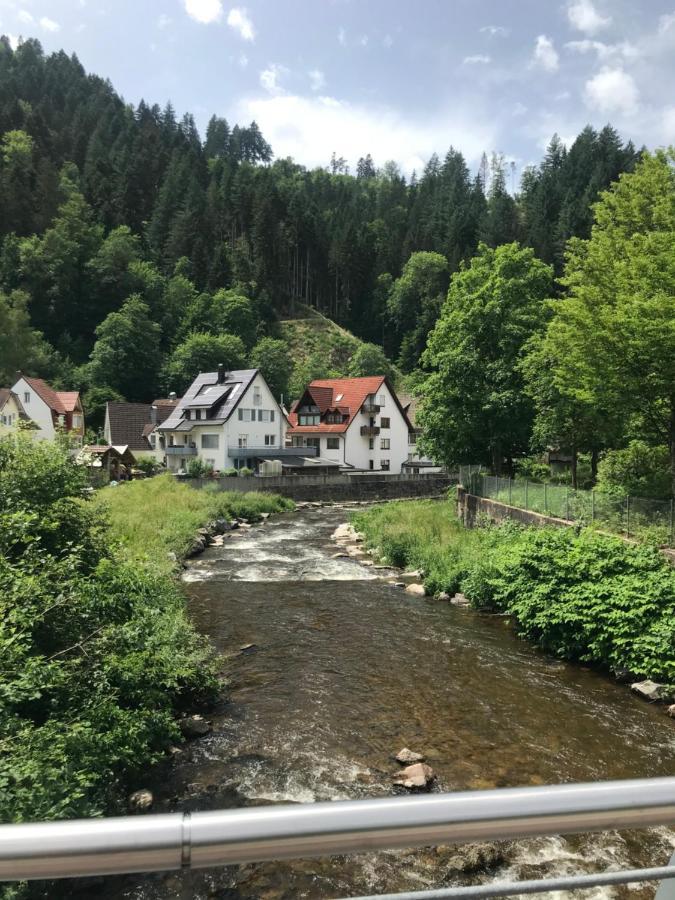 S-Villa Apartments Im Schwarzwald Schiltach Kültér fotó