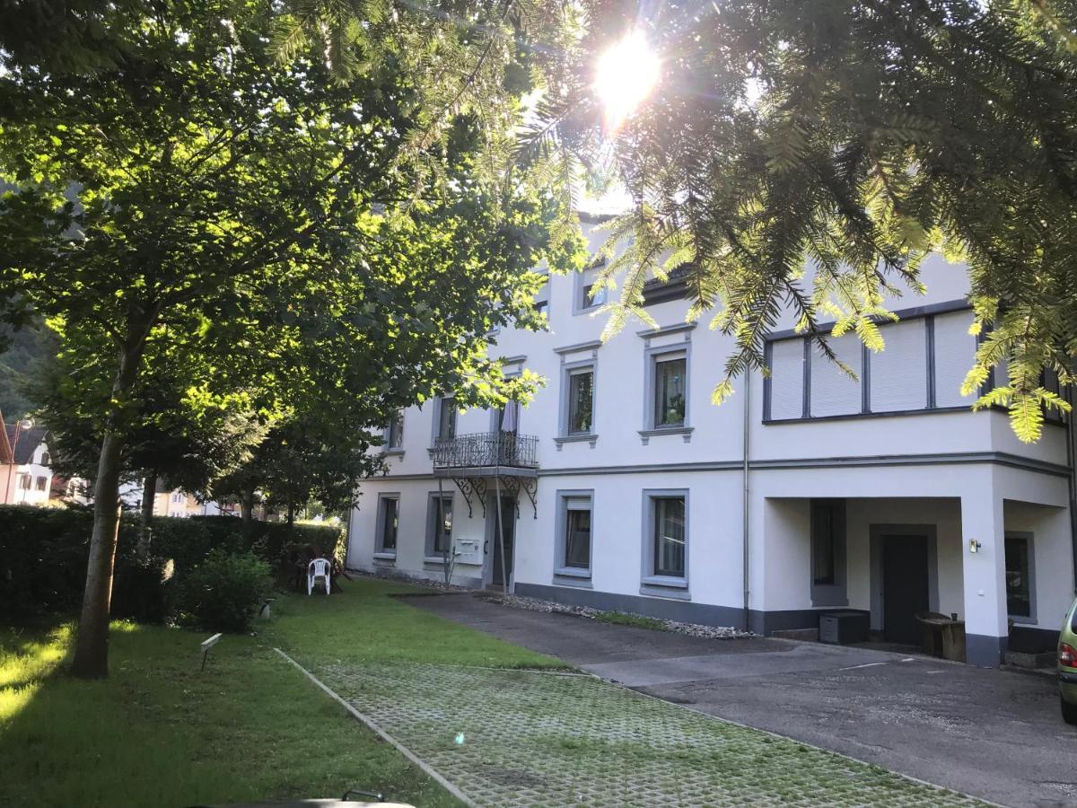 S-Villa Apartments Im Schwarzwald Schiltach Kültér fotó