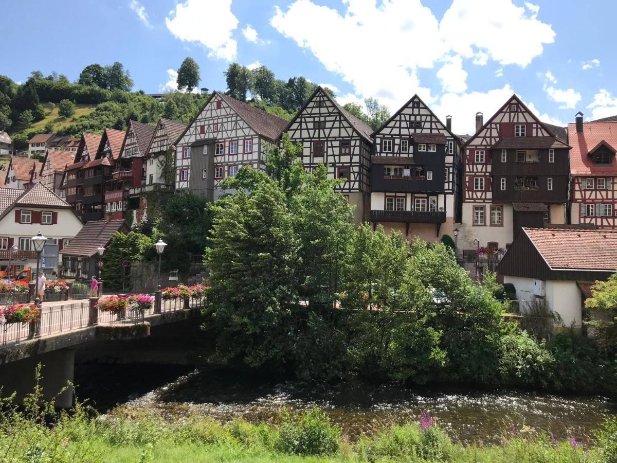 S-Villa Apartments Im Schwarzwald Schiltach Kültér fotó