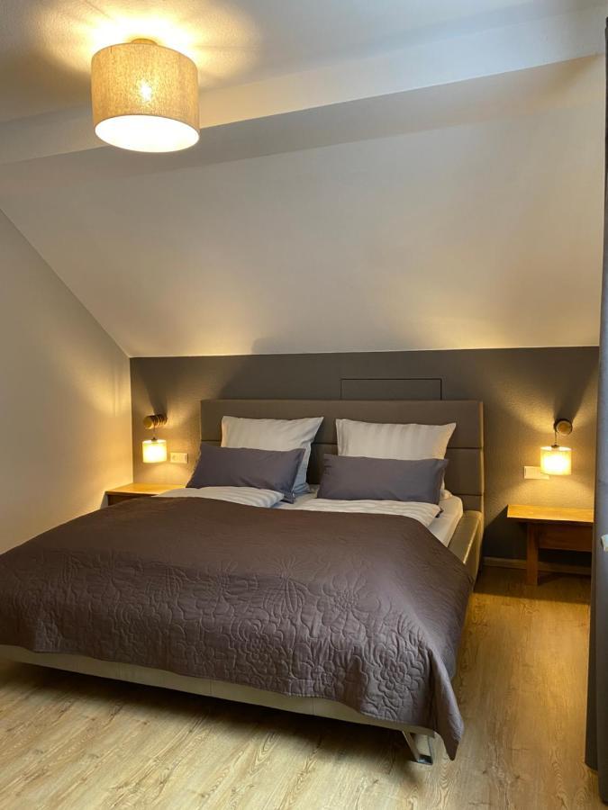 S-Villa Apartments Im Schwarzwald Schiltach Kültér fotó