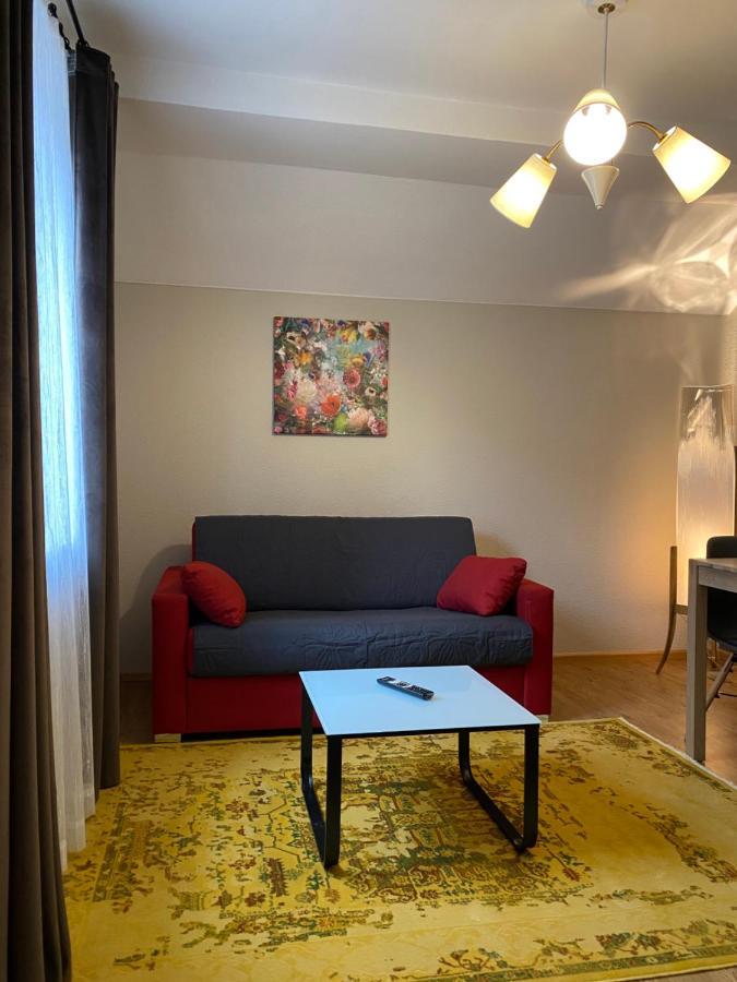 S-Villa Apartments Im Schwarzwald Schiltach Kültér fotó