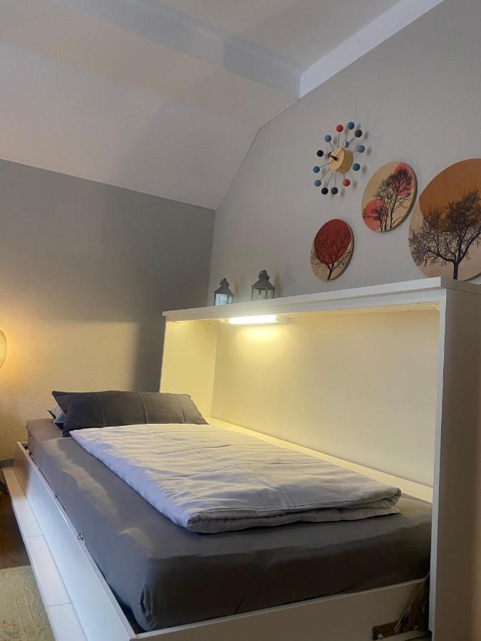 S-Villa Apartments Im Schwarzwald Schiltach Kültér fotó