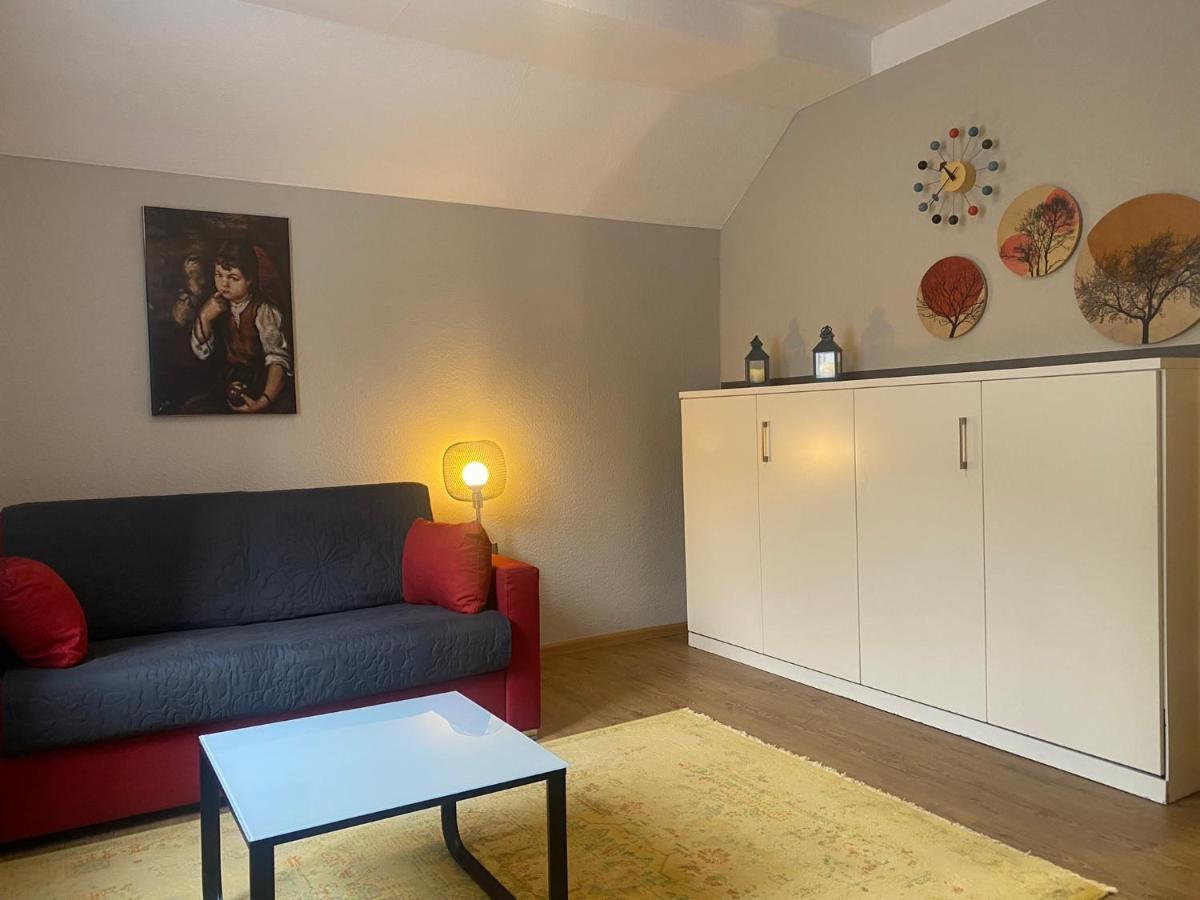 S-Villa Apartments Im Schwarzwald Schiltach Kültér fotó