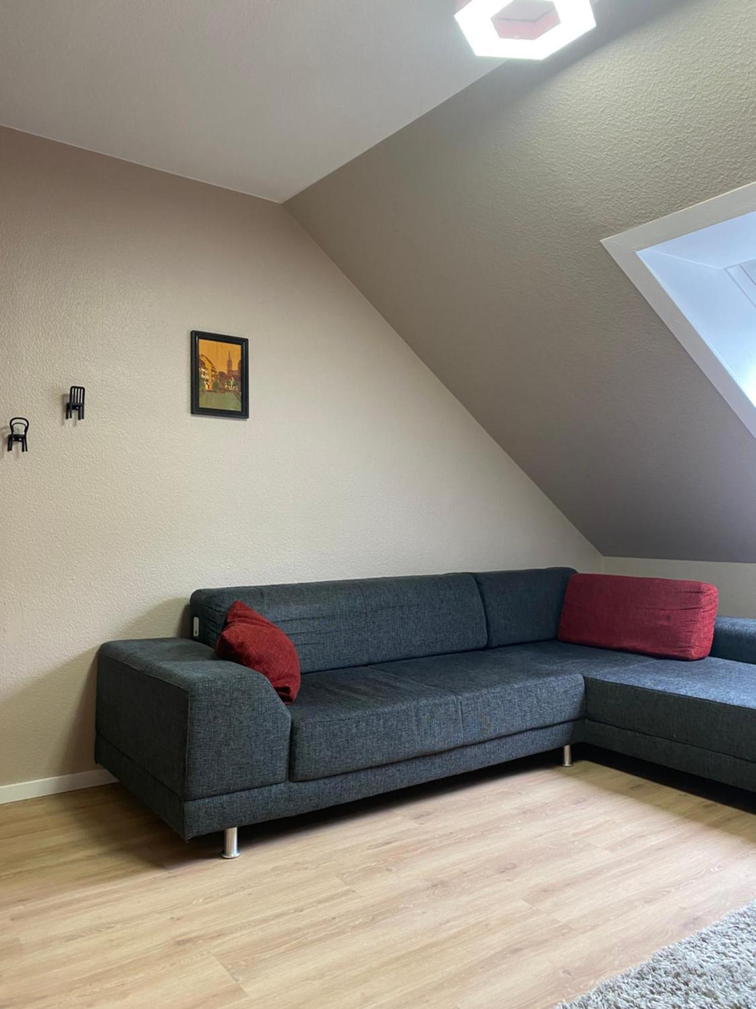 S-Villa Apartments Im Schwarzwald Schiltach Kültér fotó