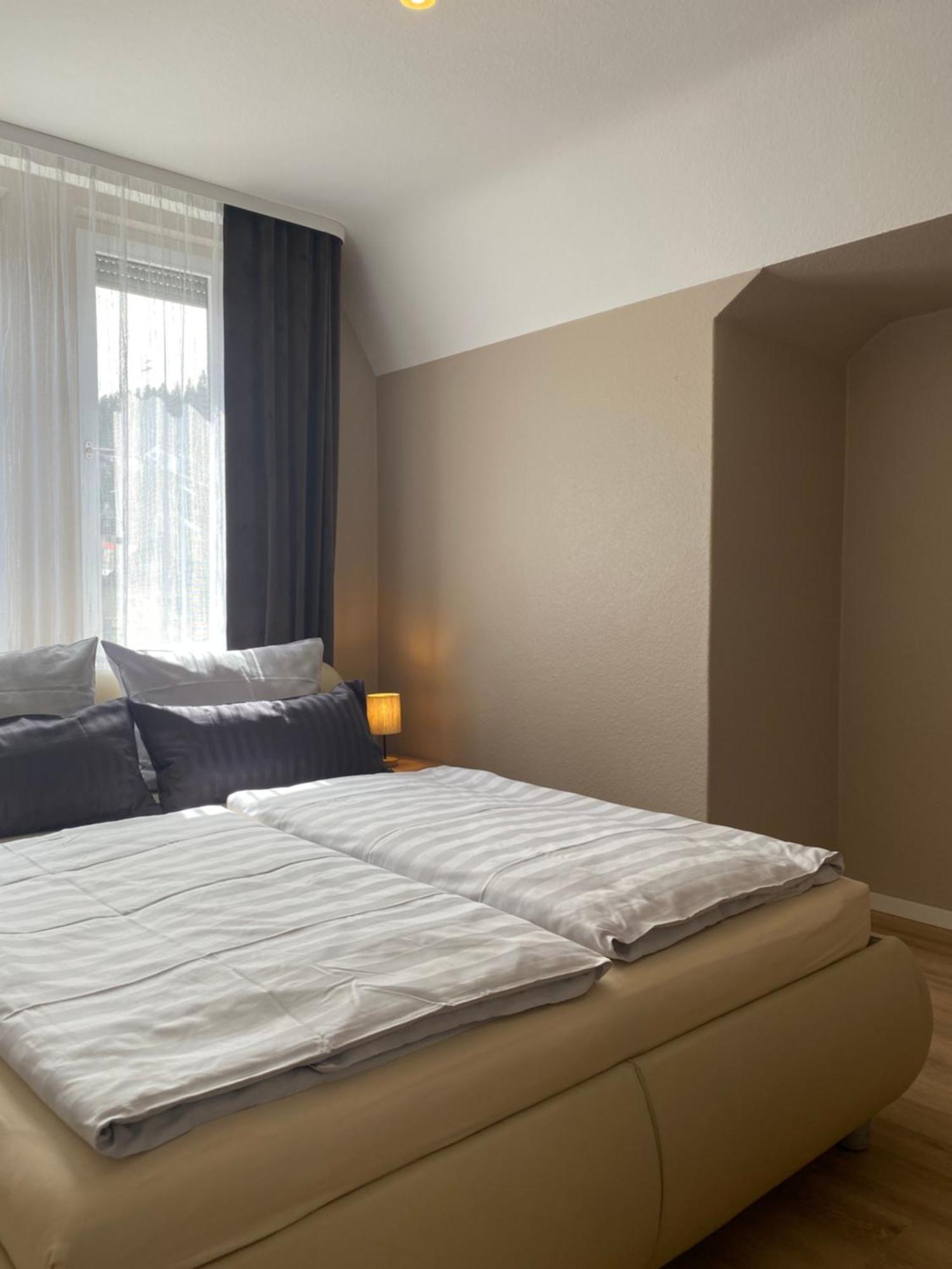 S-Villa Apartments Im Schwarzwald Schiltach Kültér fotó