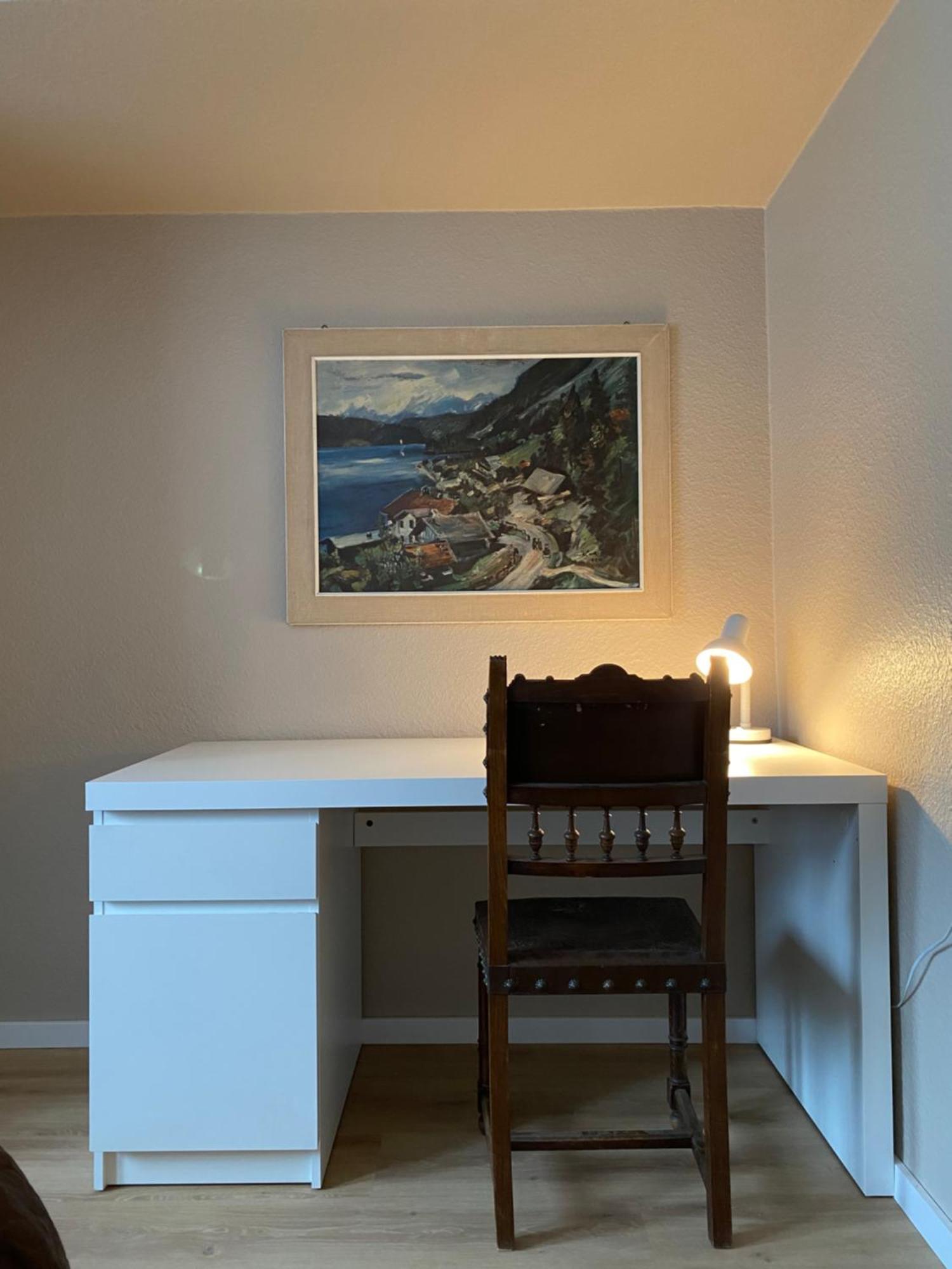 S-Villa Apartments Im Schwarzwald Schiltach Kültér fotó