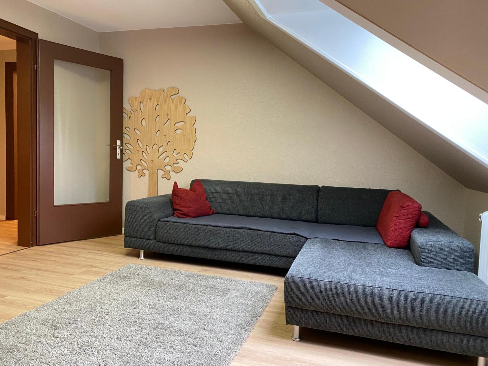 S-Villa Apartments Im Schwarzwald Schiltach Kültér fotó